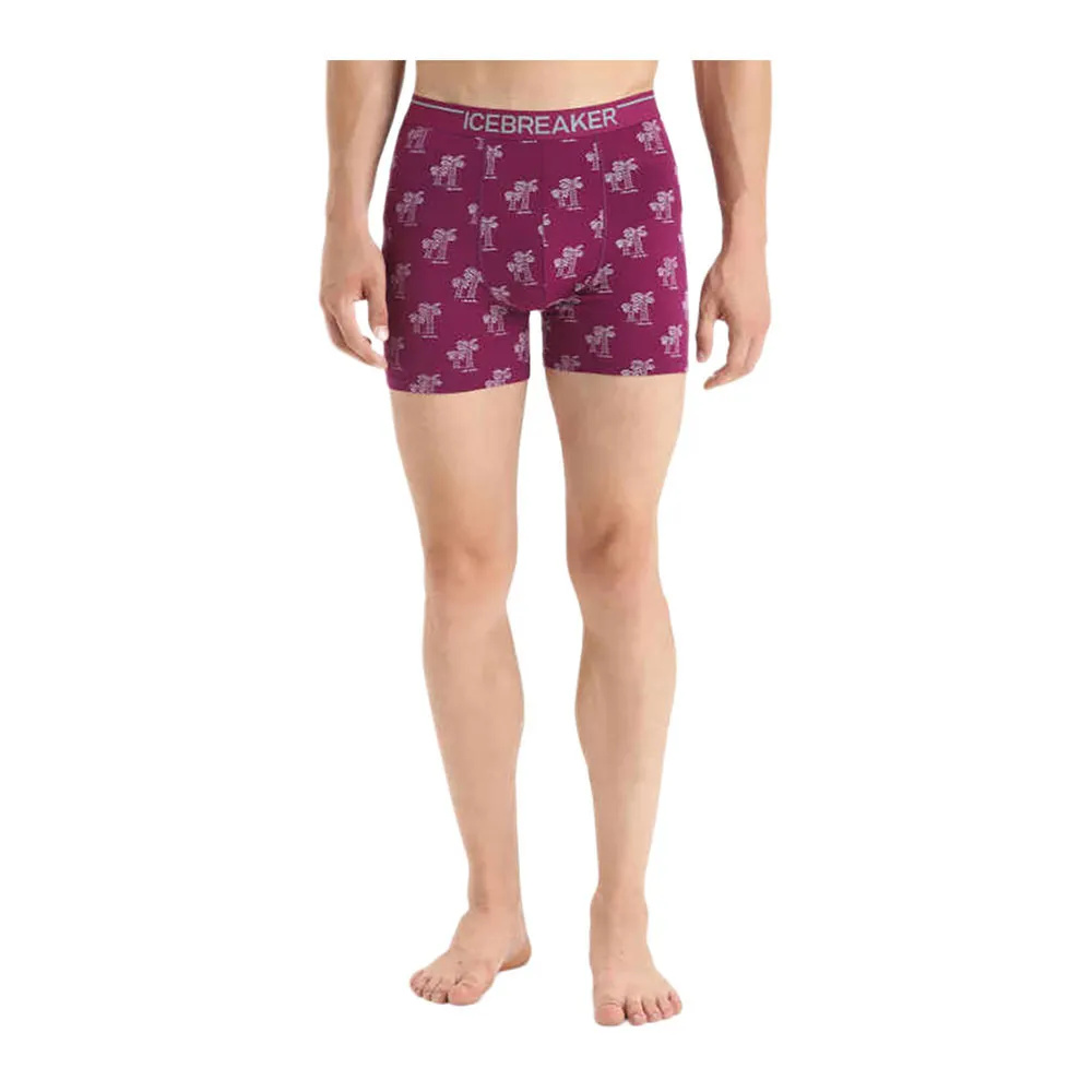 Icebreaker ANATOMICA - Boxer Homme go berry/aop