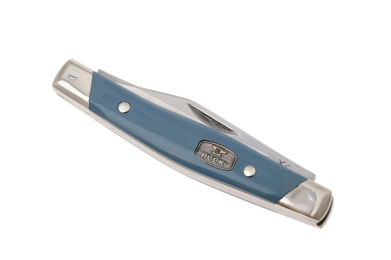 Buck Cadet 0303BLS Satin 420HC, Blue Synthetic Nickel Silver, zakmes