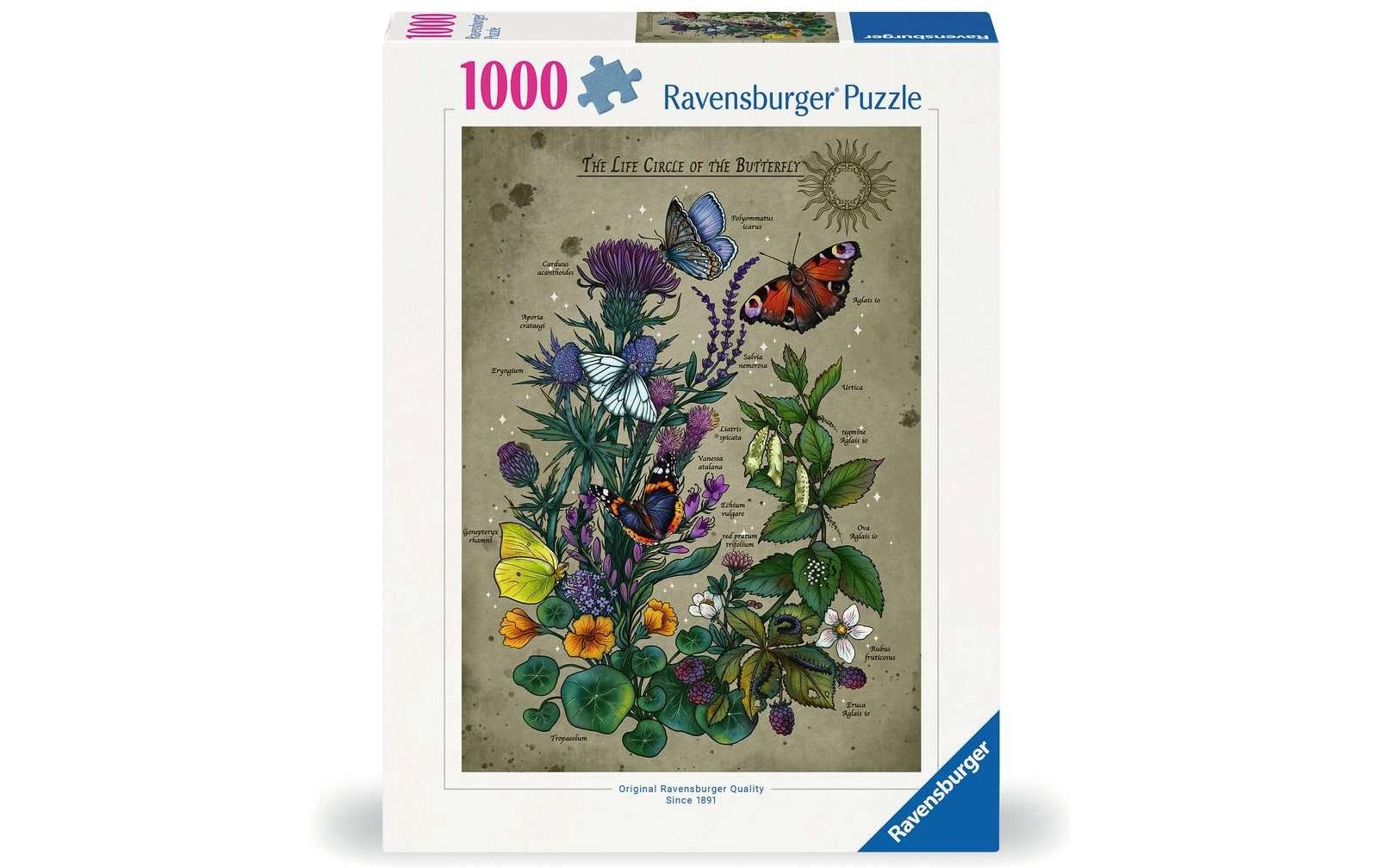 Puzzle Lifecircle ButterflyPuzzle-Spiel