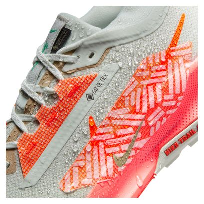 Chaussures Trail Nike Pegasus Trail 5 GTX Gris/Orange Homme