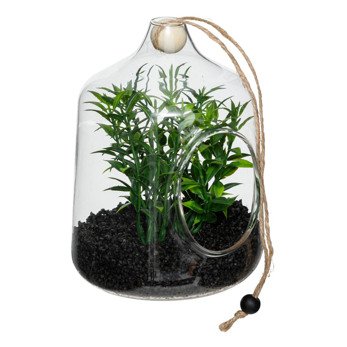 TERRARIUM PLANTE A SUSPENDRE NALY H.15CM