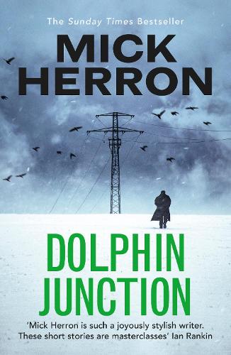 Dolphin Junction (Paperback)