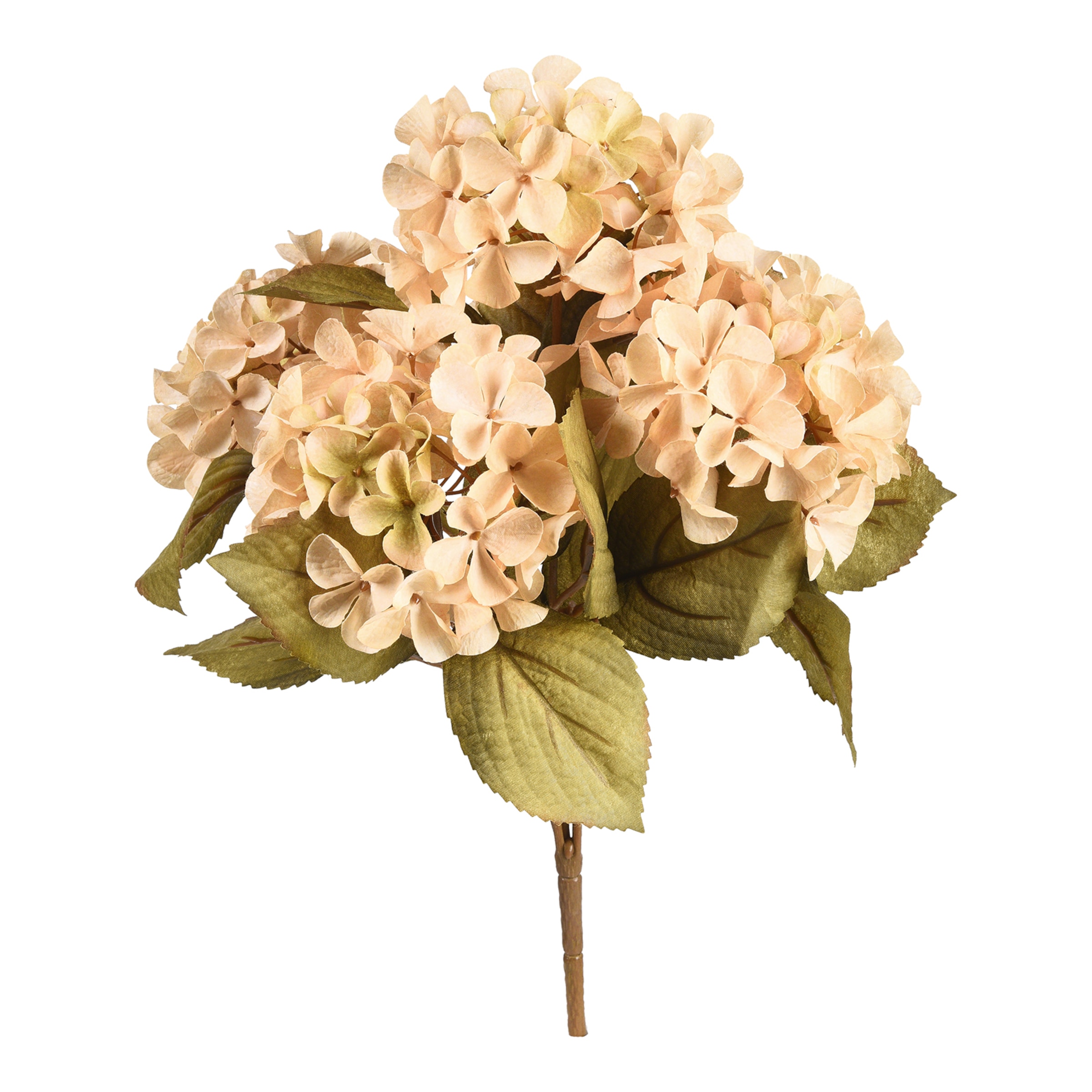 creme, L 40 cm