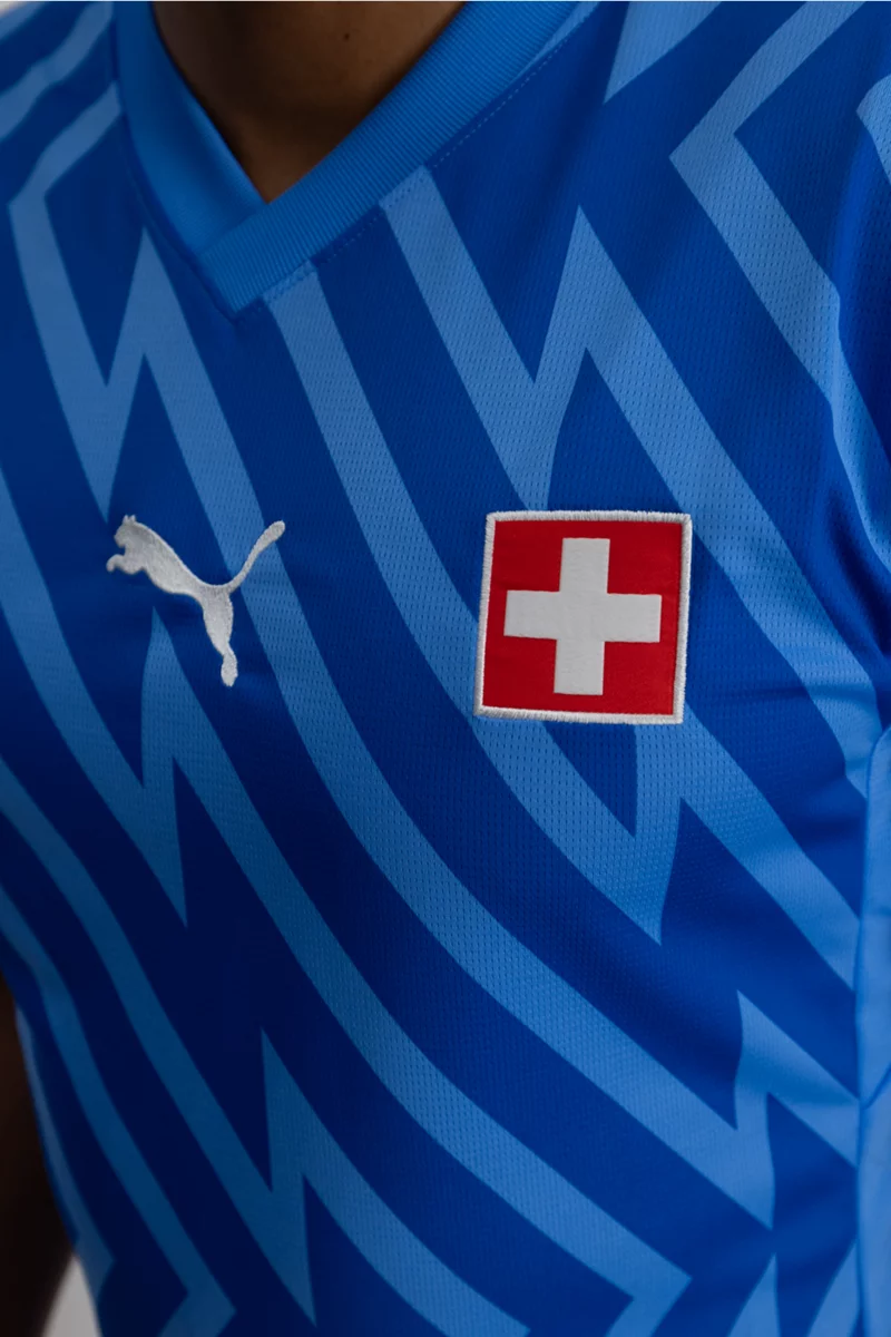 Puma Schweiz Replica Herren Torwarttrikot EM 2024 blau