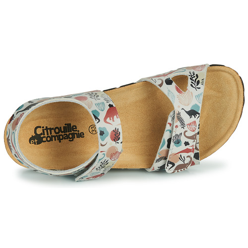 Citrouille et Compagnie - BELLI JOE - Beige