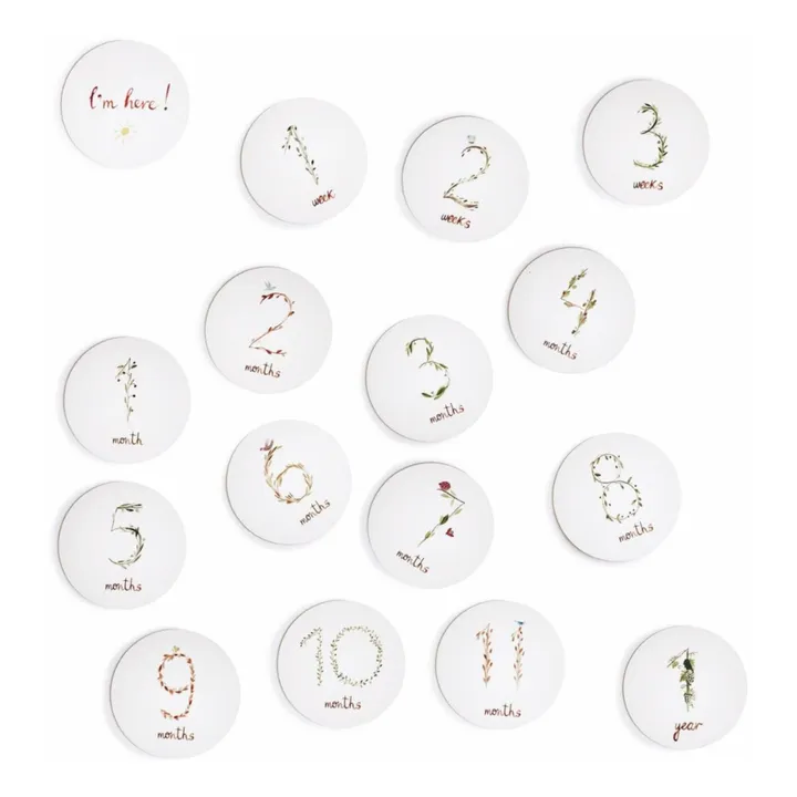 Mushie Cartes étapes