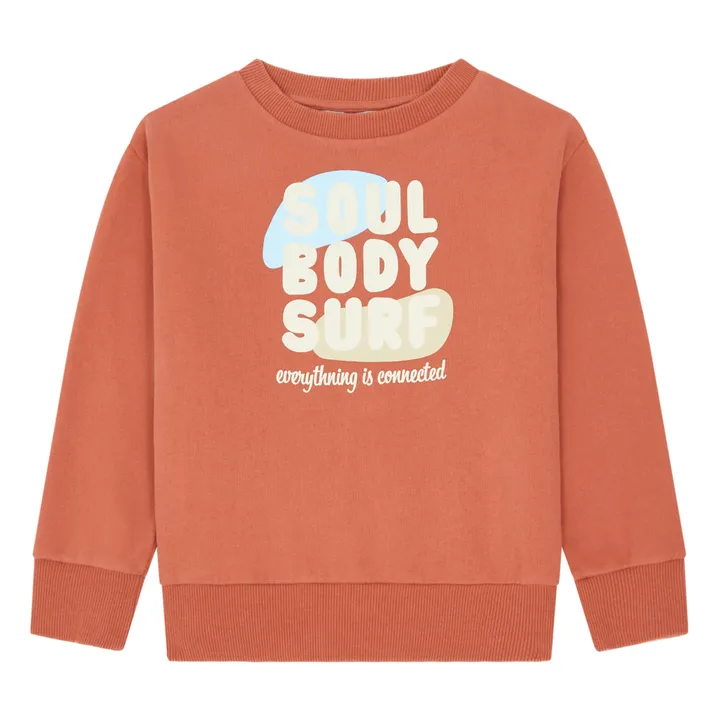 Hundred Pieces Sweat  Coton Bio  | Argile