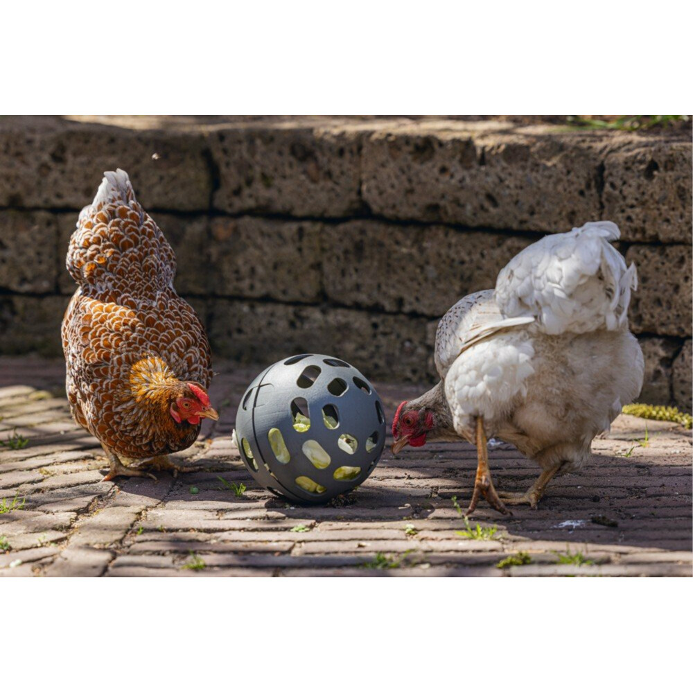 Beeztees Snackbal voor Kippen Grijs15 cm