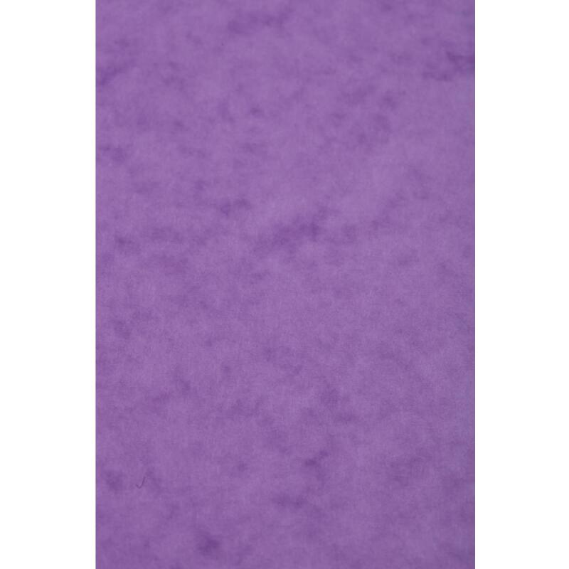 Carte Europa paquet 50F A3 256g