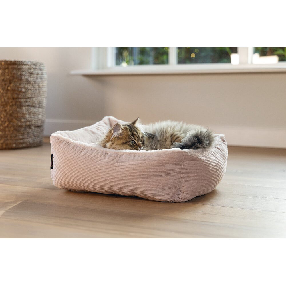 Beeztees Moza Kattenmand