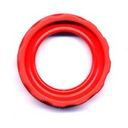 Fuel Pump Seal