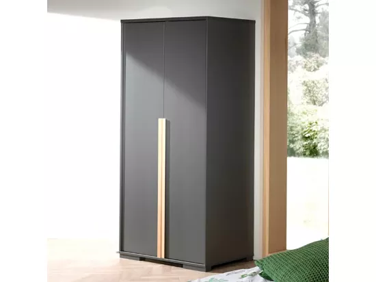 NASH DARK - Armoire 2 Portes Anthracite et Bois