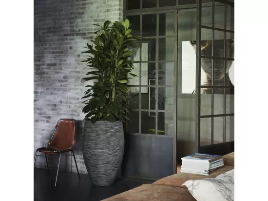 Pot à fleurs Rib élégant Deluxe 45x72 cm Anthracite