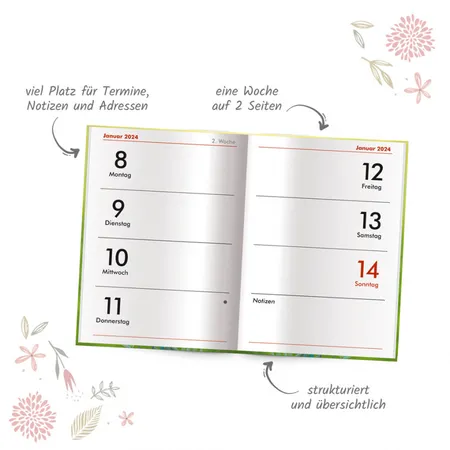 Trötsch Taschenkalender Schmetterling A7, 2024