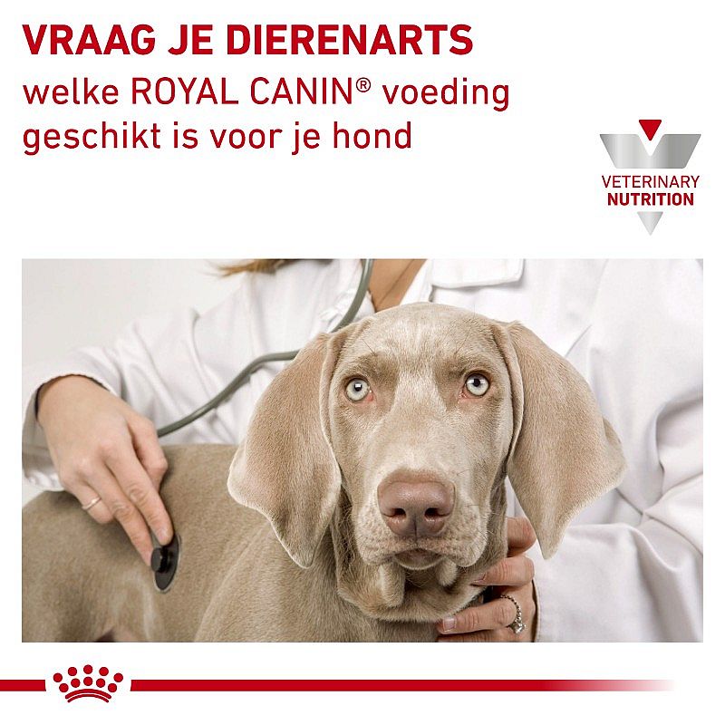 Royal Canin Hond Urinary SO Small Dog Dieetvoeding voor ondersteuning van de urinewegen van honden met een volwassen gewicht tot 10 kilo