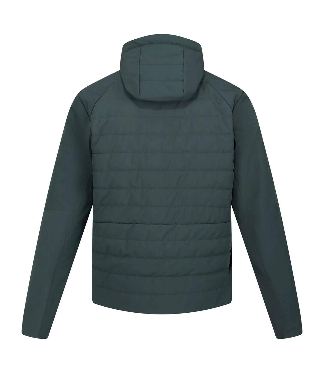 Regatta - Veste DAXFORD - Homme (Sarcelle sombre) - UTRG8368