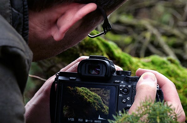 Fotografie Einzeltraining Nordrhein-Westfalen