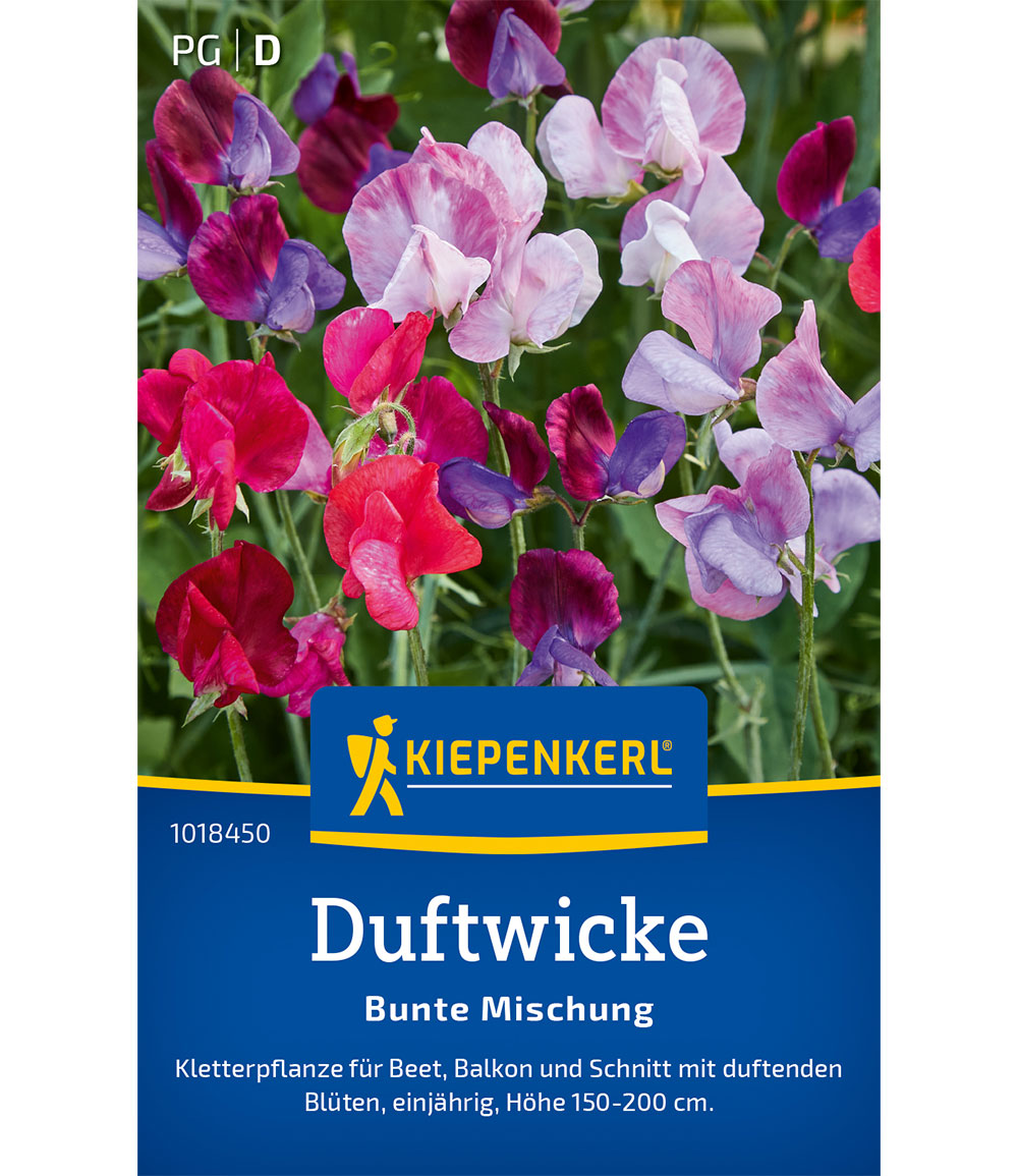 Duftwicke 'Bunte Mischung'