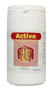 Biodream Active Poeder 800GR