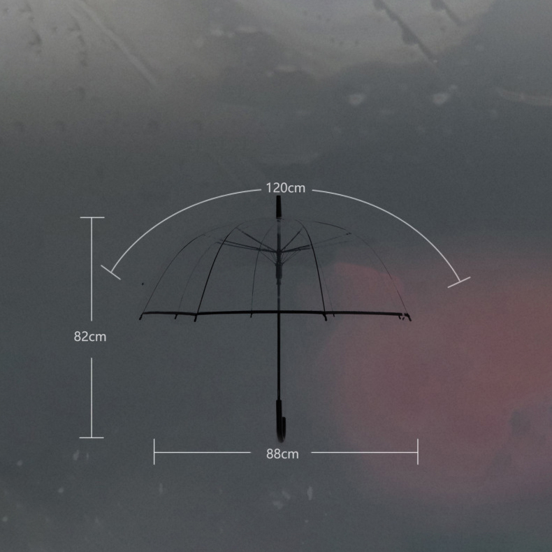 (Ø88cm) Langgriff Regenschirm Fashion Schirm mit automatischer Selbstöffnung - Transparent