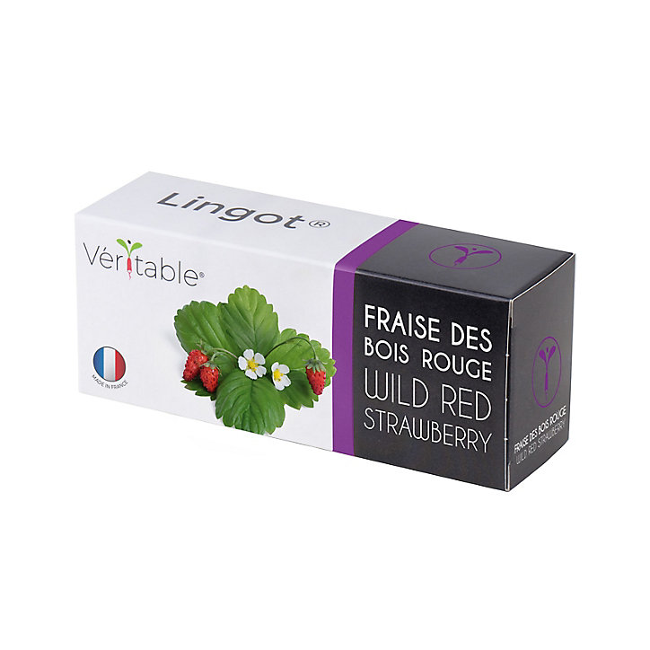 Lingot® Fraise des bois rouge pour potager Véritable®