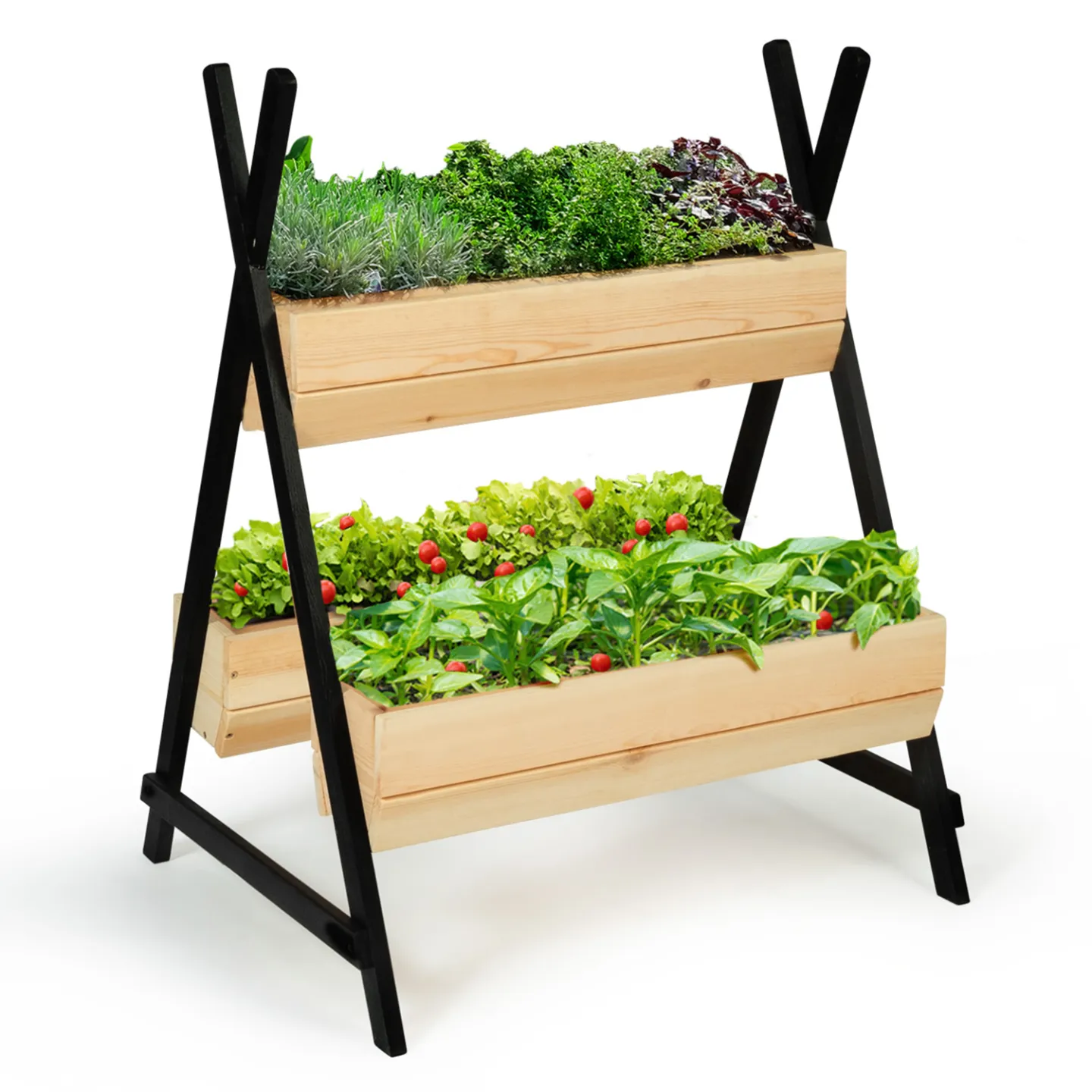 Potager PATY 3 bacs bois finitions noires jardinière tipi