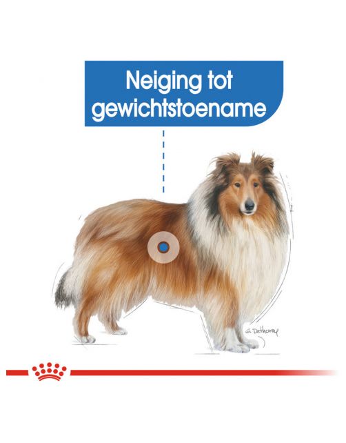 Royal Canin Light Weight Care Maxi - Hondenvoer