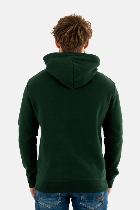 Sweat superdry essential logo 27e enamel green
