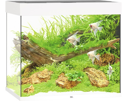 JUWEL Lido 200 aquarium met LED-verlichting, pomp, filter, verwarming (zonder kast), wit