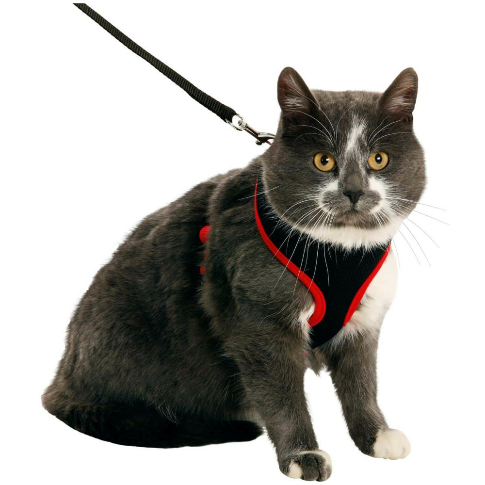 Harnais pour grand chat, couleur noir et rouge, taille l, réglable