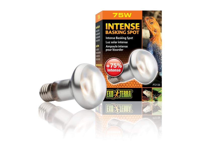 Exo Terra Terrarienlampe Intense Basking Spot E27, R20/75W Wärmespotlampe