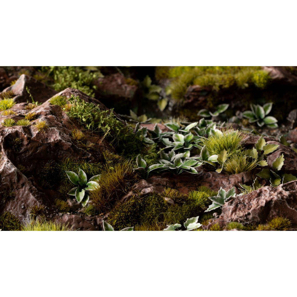 Laser Plants - Plantain Lily