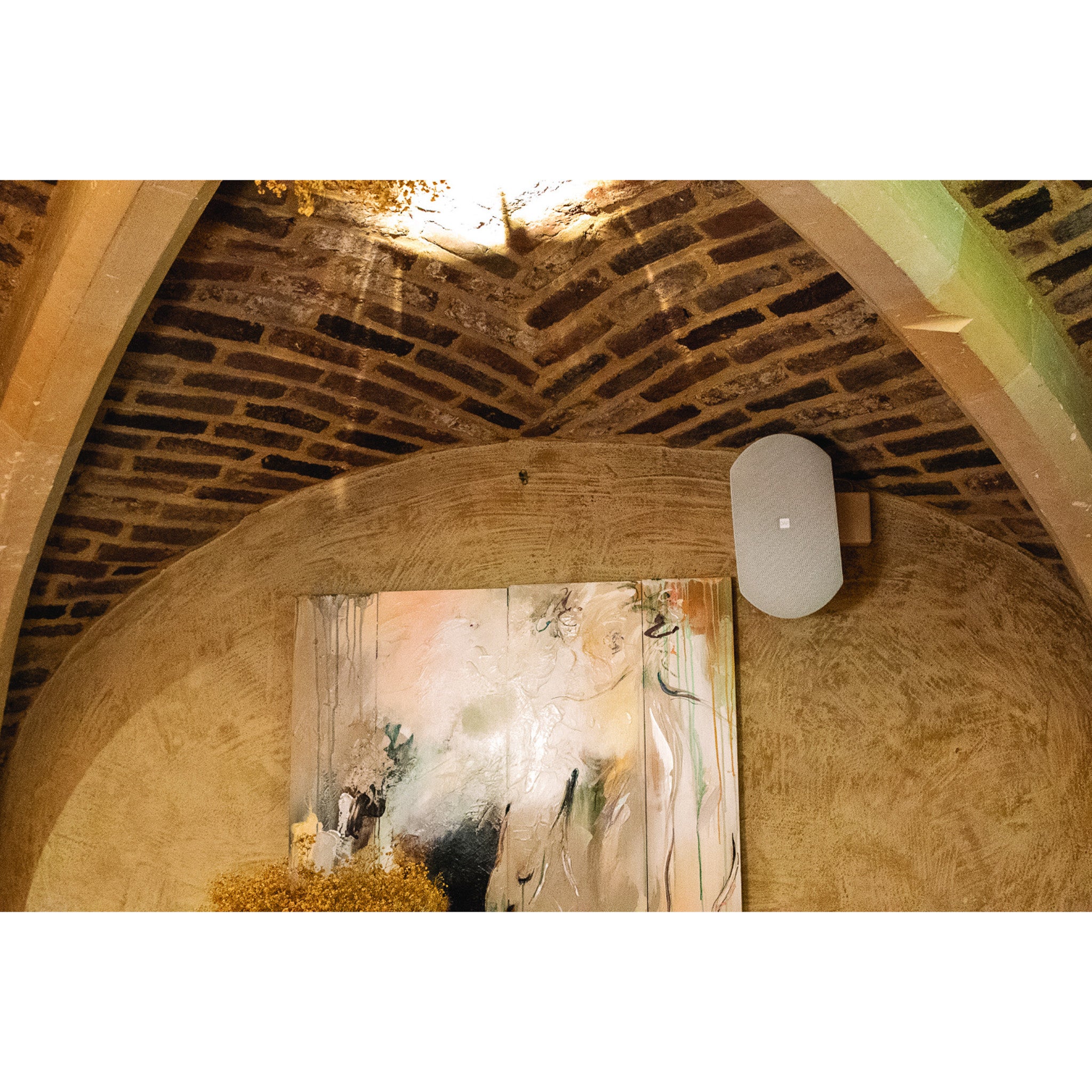 DAP WMS8T-W passieve 8 inch opbouw luidspreker 100 V, wit