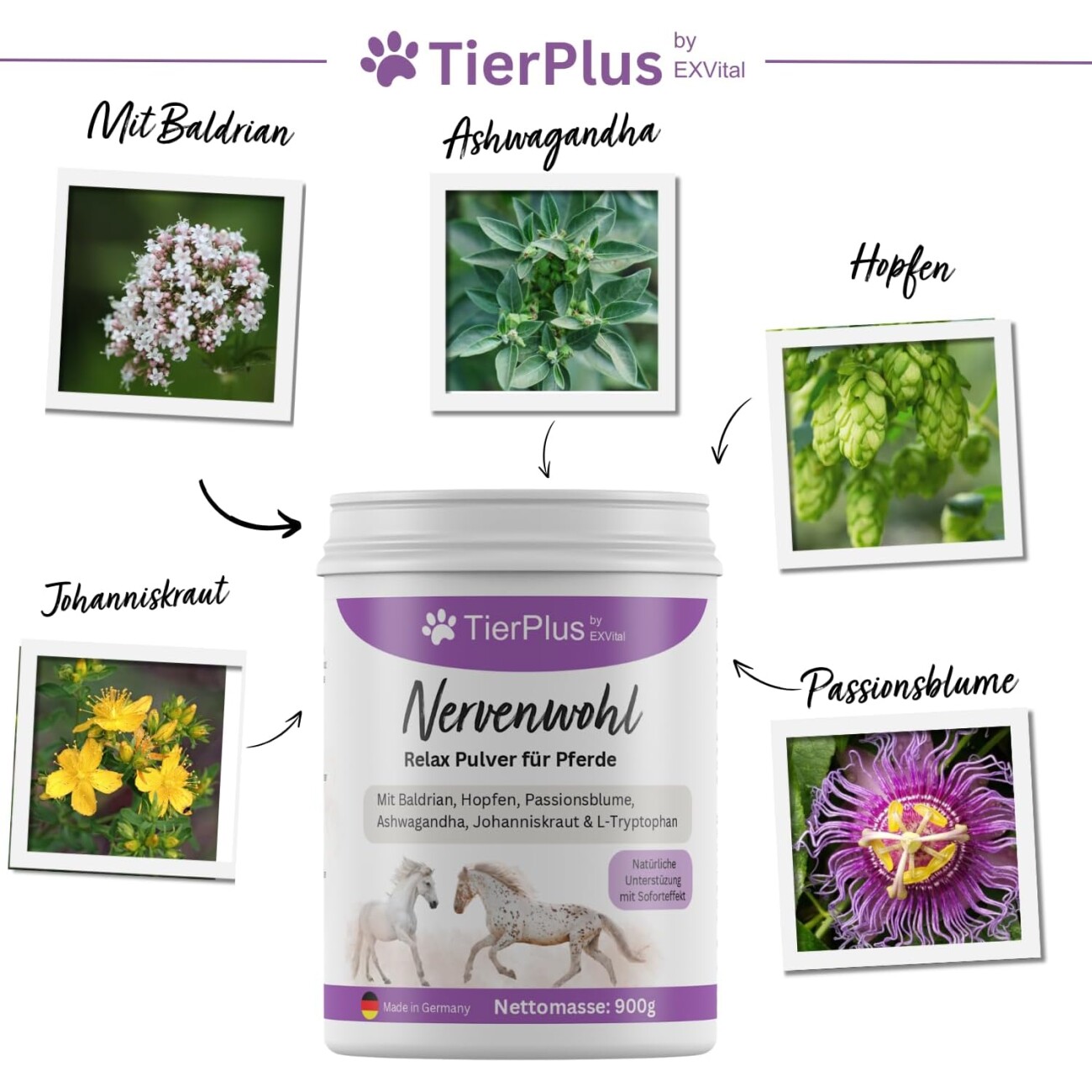 TierPlus ® Nervenwohl Relax Pulver für Pferde