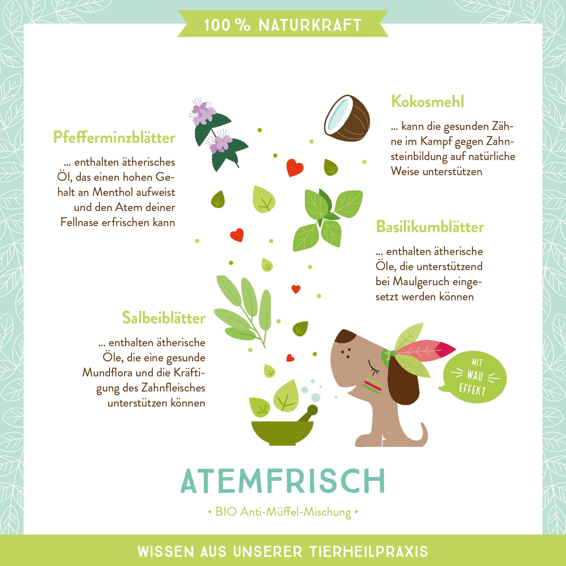 AniCanis Mundgeruch & Zahnpflege Kräuter Bio Atemfrisch für Hunde