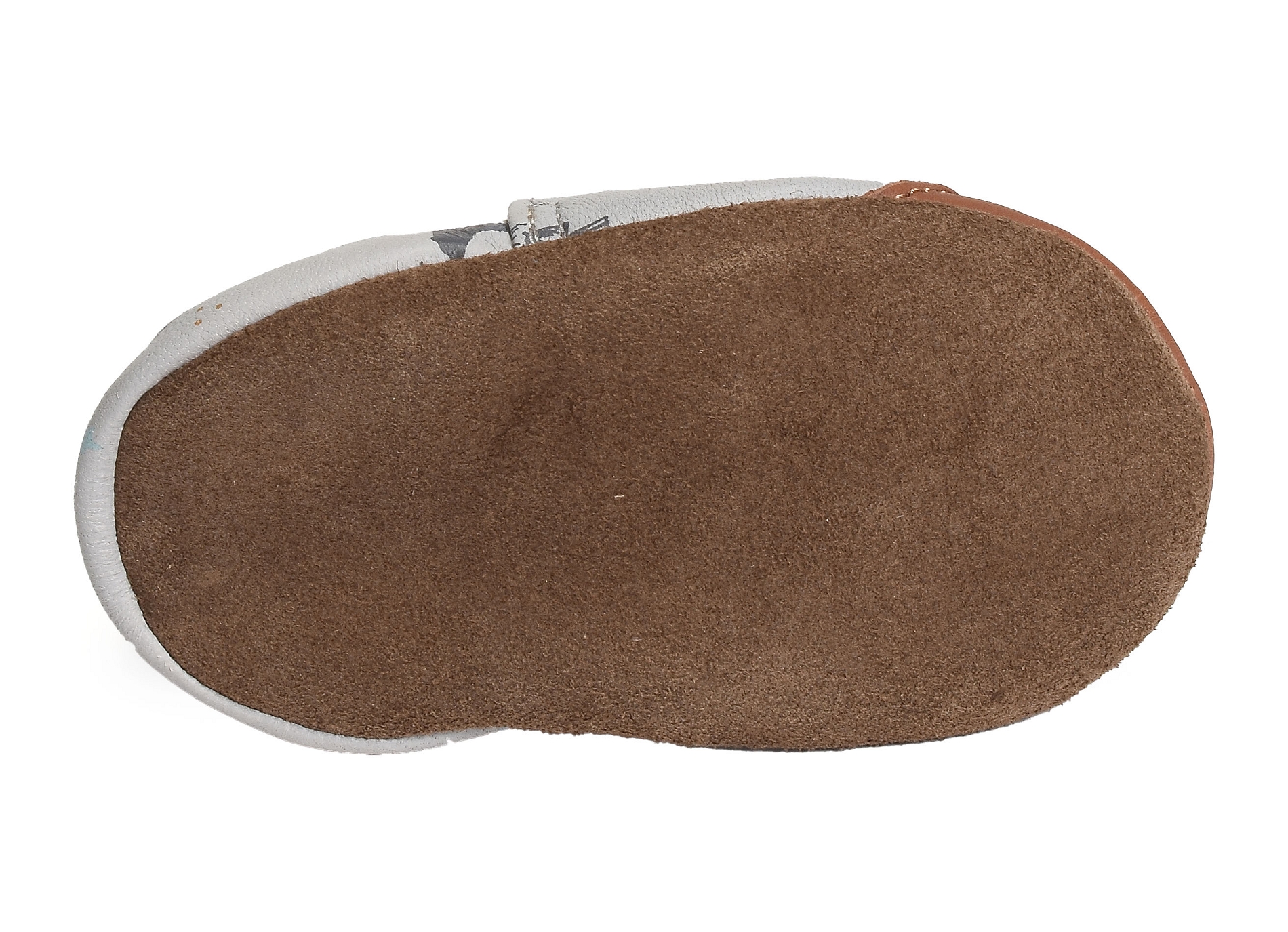 Wintering bear gris marron