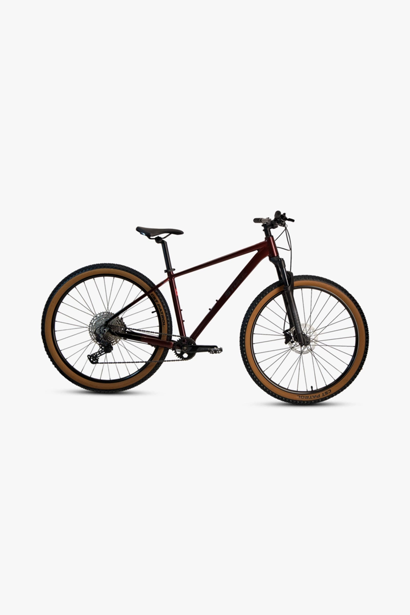 Stoke Tonka 29 Mountainbike 2024