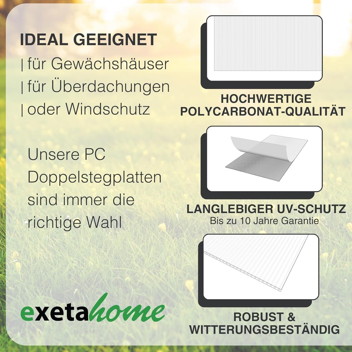 5x Gewächshausplatten 10mm I Polycarbonat Hohlkammerplatten für Gewächshäuser I PC Doppelstegplatten UV-beständig & bruchsicher I für Garten, Frühbeet uvm I 70cm x 150cm I Transparent