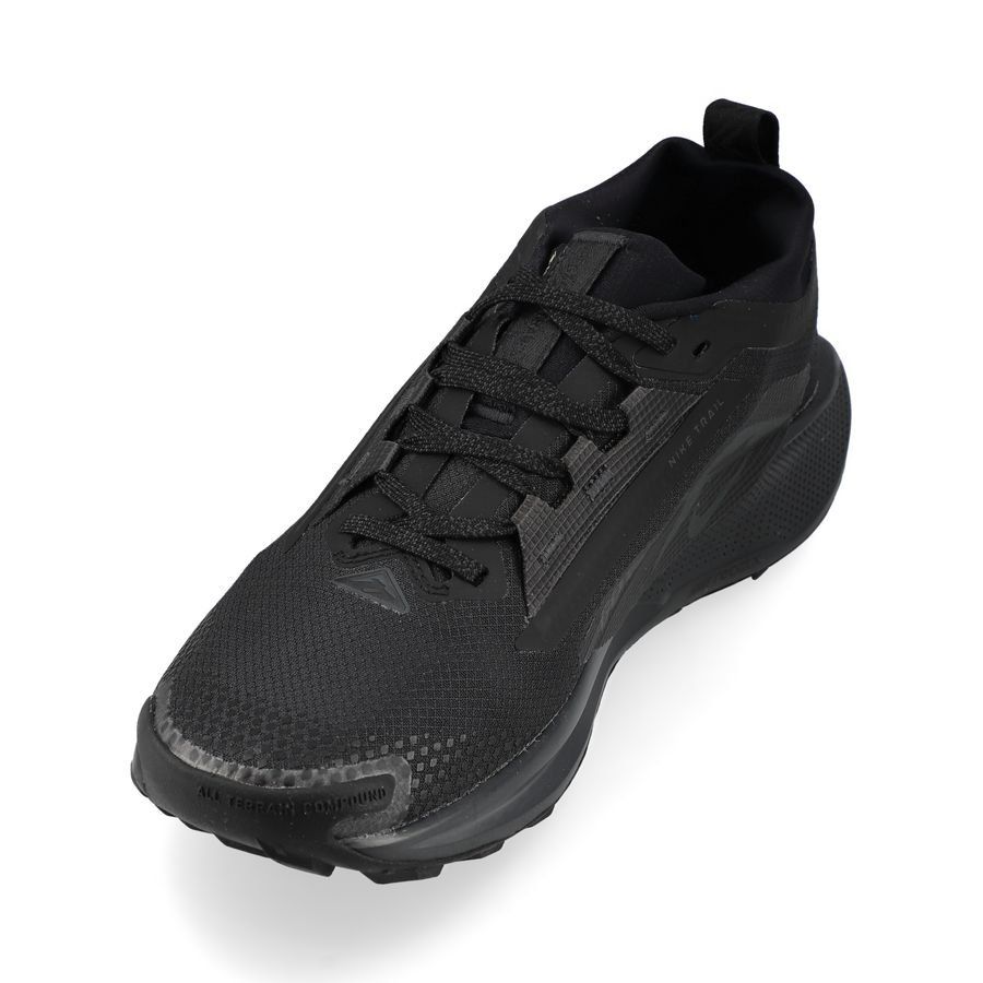 Nike Chaussures de Running Pegasus Trail 5 Gore-Tex - Noir/Gris Femme