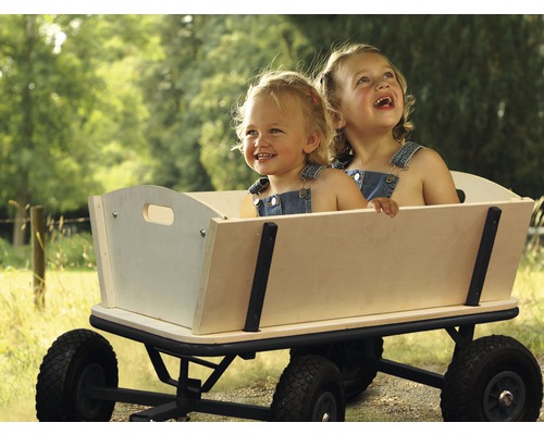 Billy Beach Wagon, Metaal, Zwart