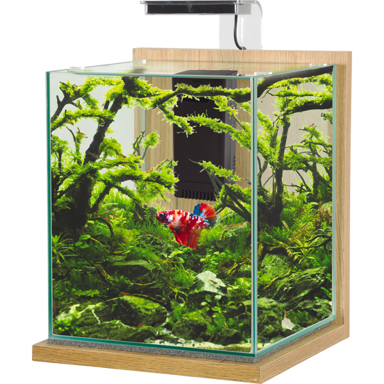 Aquarium 