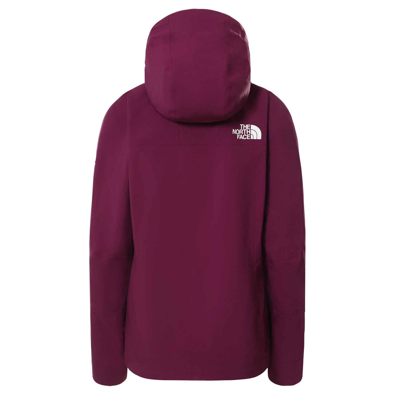 The North Face Womens Summit Futurelight Jacket