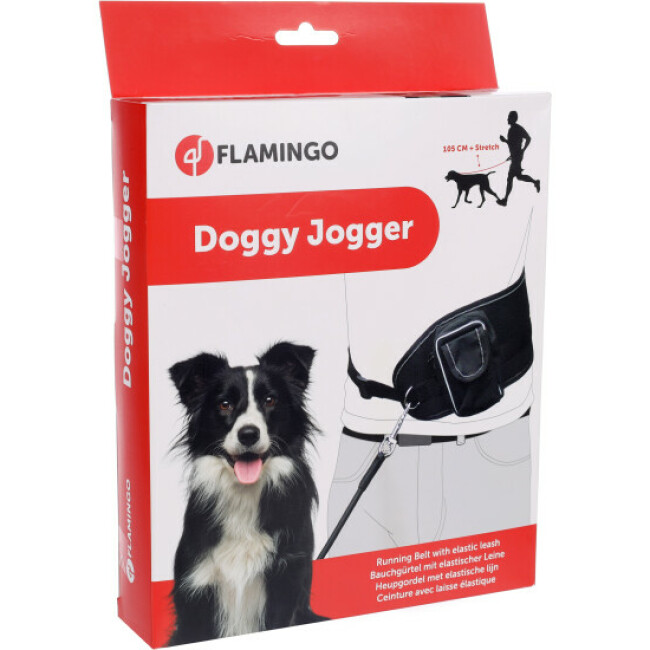 Laisse de jogging canicross pour chien