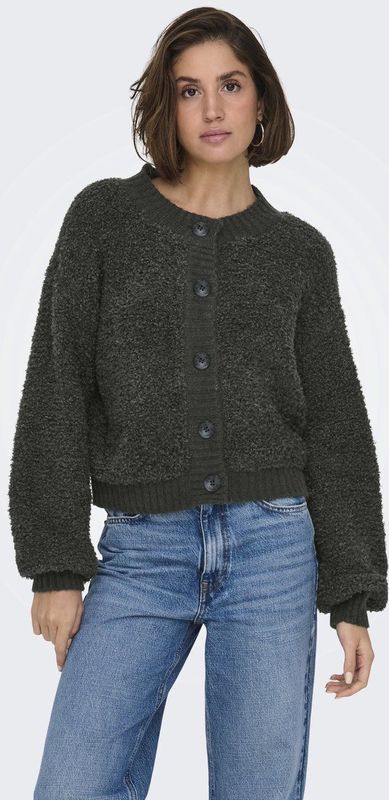 JDY - JDYEIRA LIFE ONECK - Vest - Dames - Gebreid - Lange Mouwen