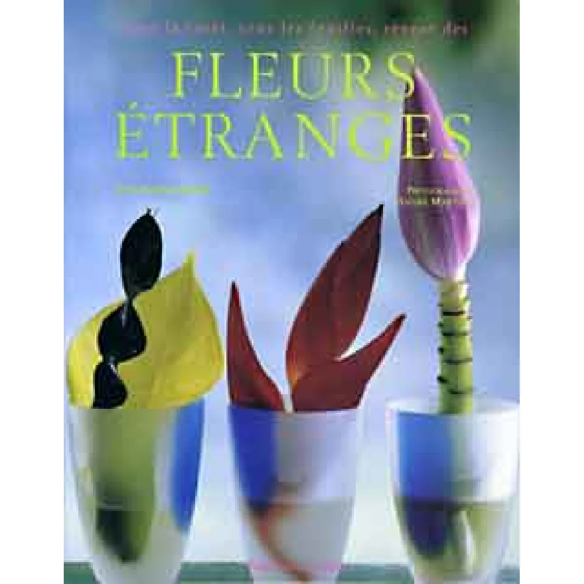 Dans la forêt sous les feuilles rêvent des étranges fleurs · Occasion