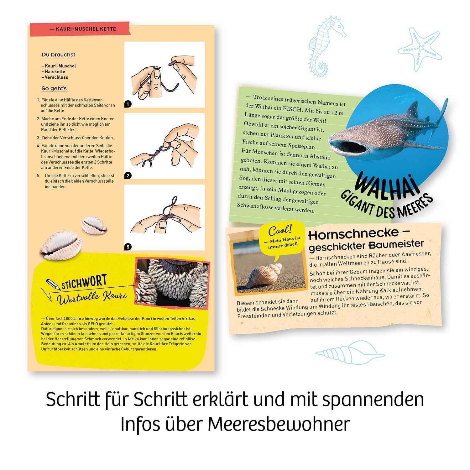 Mitbring-Experimente: Meeres-Abenteuer