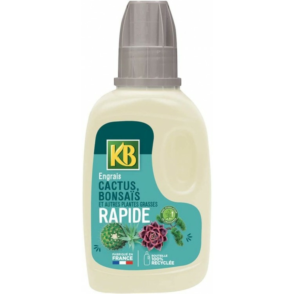 Engrais rapide cactus bonsaï succulentes et autres plantes grasses 250ml