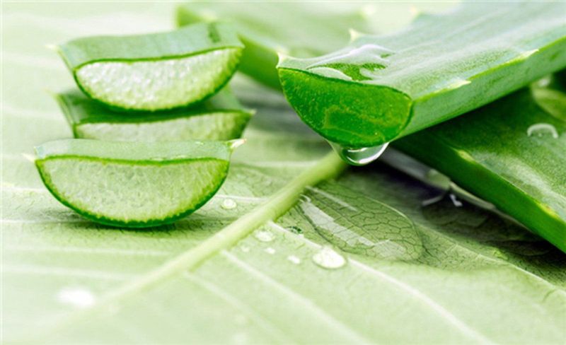 Urtekram - Aloe Vera - Deodorant - Natuurlijke Roll-On - Biologisch