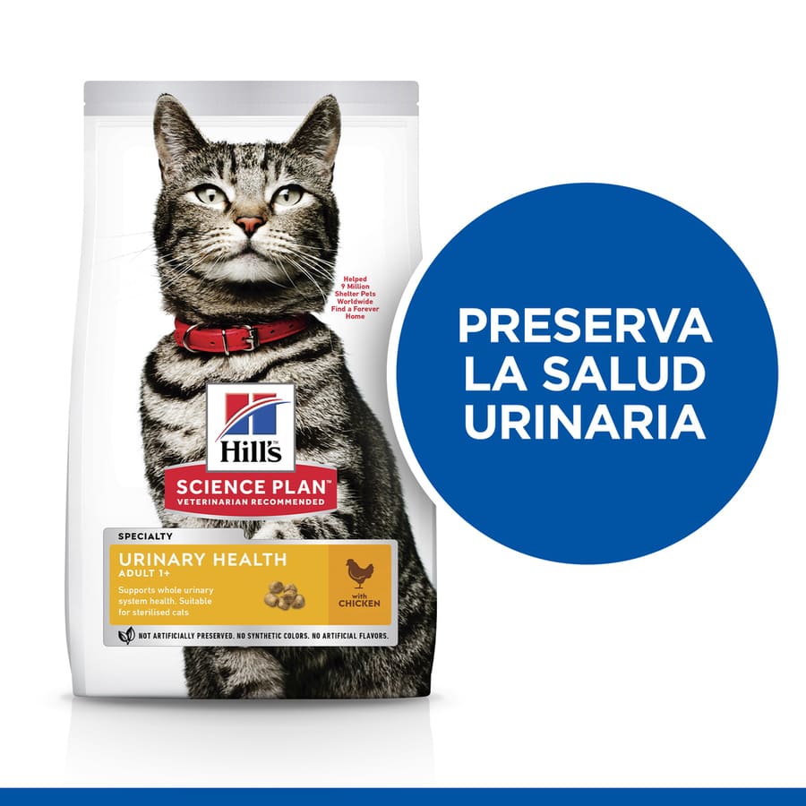 Ração para gatos Hill's com sabor de frango e urina