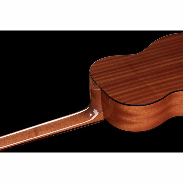 Gewa Pro Arte GC100A
